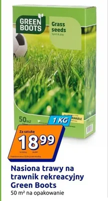 Nasiona trawy na trawnik rekreacyjny promocja w Action