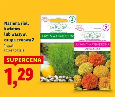 Nasiona ziół, kwiatów lub warzyw grupa cenowa 2 promocja w Lidl