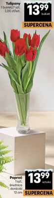 Tulipany 1 bukiet/7 szt. Delikatesy Centrum promocja w Delikatesy Centrum
