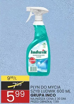 Płyn do mycia szyb Ludwik 600 ml promocja w Wafelek