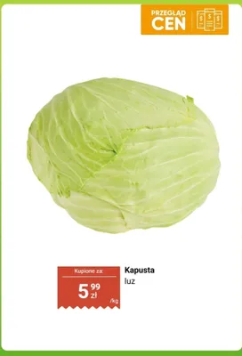 Kapusta luz Dino promocja w Dino