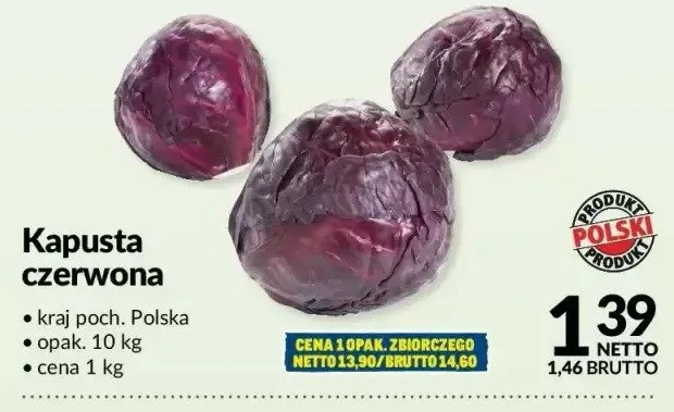 Kapusta czerwona Makro promocja