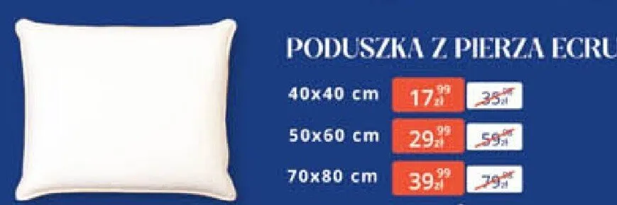 Poduszka z pierza ecru 40x40 cm Arhelan promocja w Arhelan