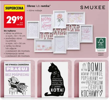 Ramka różne rodzaje Smukee promocja w Biedronka