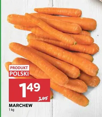 Marchew 1kg Stokrotka promocja w Stokrotka