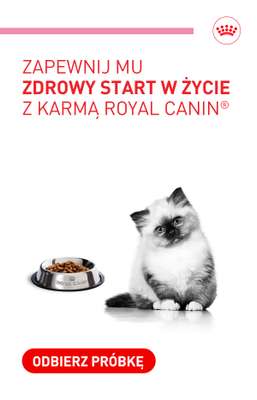 Royal Canin - gazetka promocyjna Odbierz darmowy pakiet Royal Canin dla kociaka od czwartku 08.10 do czwartku 15.10