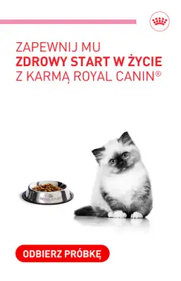 Royal Canin - gazetka promocyjna Odbierz darmowy pakiet Royal Canin dla kociaka od czwartku 08.10 do czwartku 15.10