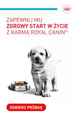 Royal Canin - gazetka promocyjna Odbierz darmowy pakiet Royal Canin dla szczeniaka od czwartku 08.10 do czwartku 15.10