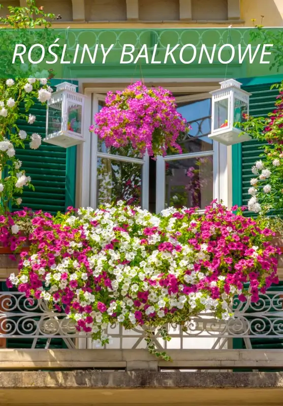 Świat Kwiatów - gazetka promocyjna Do -70% wyprzedaż od piątku 28.05 do poniedziałku 07.06 - strona 3