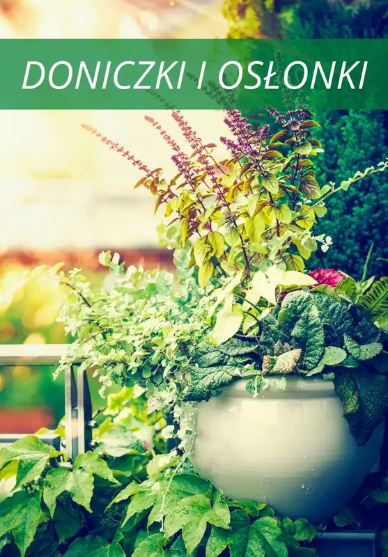 Świat Kwiatów - gazetka promocyjna Do -70% wyprzedaż od piątku 28.05 do poniedziałku 07.06 - strona 4