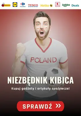  Strefa Mundial - gazetka promocyjna Niezbędnik kibica od środy 16.06 do środy 23.06