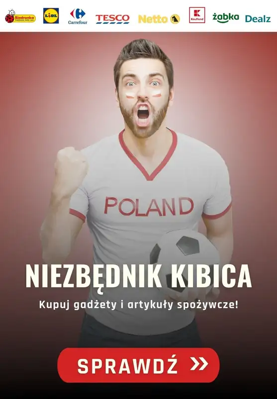  Strefa Mundial - gazetka promocyjna Niezbędnik kibica od środy 16.06 do środy 23.06