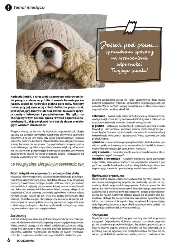 ZOO Karina - gazetka promocyjna Magazyn ZOO Karina 10/2021 od piątku 01.10 do niedzieli 31.10 - strona 6