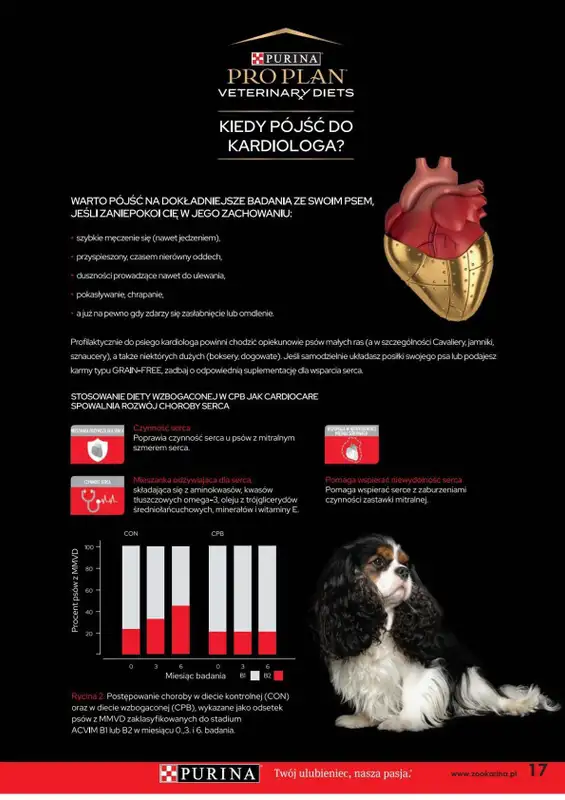 ZOO Karina - gazetka promocyjna Magazyn ZOO Karina 10/2021 od piątku 01.10 do niedzieli 31.10 - strona 17