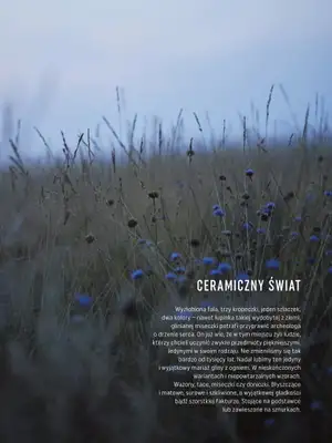 VOX - gazetka promocyjna Katalog Dekoracje I artykuły wyposażenia wnętrz od czwartku 10.03  - strona 31