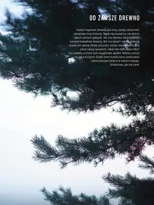 VOX - gazetka promocyjna Katalog Dekoracje I artykuły wyposażenia wnętrz od czwartku 10.03  - strona 63