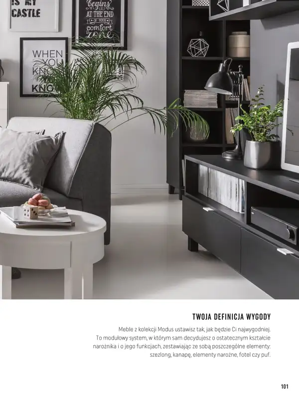 VOX - gazetka promocyjna Katalog mebli tapicerowanych od wtorku 22.03 do wtorku 31.01 - strona 101