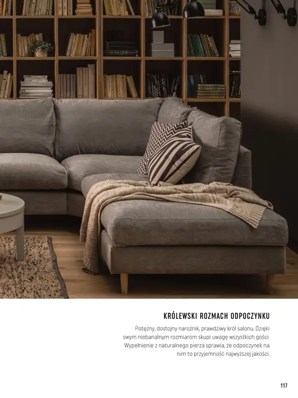 VOX - gazetka promocyjna Katalog mebli tapicerowanych od wtorku 22.03 do wtorku 31.01 - strona 117