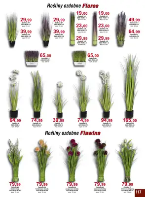 Bodzio - gazetka promocyjna Gazetka od niedzieli 01.05 do czwartku 30.06 - strona 117 Bodzio - gazetka promocyjna Gazetka od niedzieli 01.05 do czwartku 30.06 - strona 117