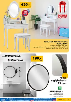 Mrówka Lubliniec - gazetka promocyjna Gazetka od piątku 04.11 do soboty 19.11 - strona 2