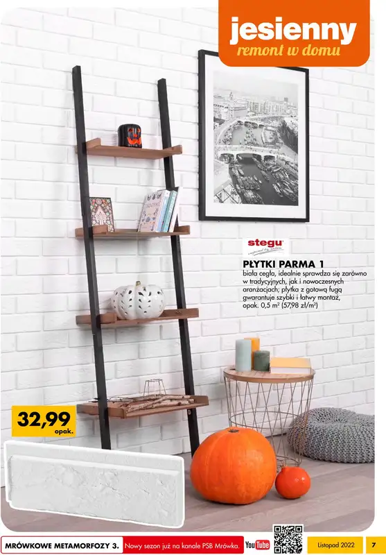 Mrówka Lubliniec - gazetka promocyjna Gazetka od piątku 04.11 do soboty 19.11 - strona 7