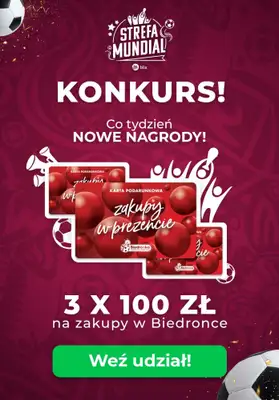 Strefa Mundial - gazetka promocyjna Najlepsze przekąski na mecz! od poniedziałku 21.11 do piątku 25.11 - strona 14  Strefa Mundial - gazetka promocyjna Najlepsze przekąski na mecz! od poniedziałku 21.11 do piątku 25.11 - strona 14