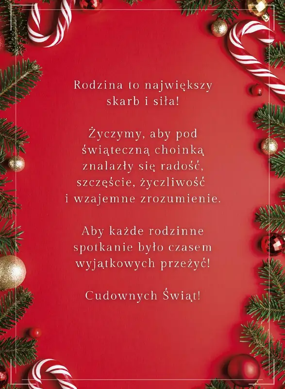Bodzio - gazetka promocyjna Świąteczne wydanie od wtorku 01.11 do wtorku 31.01 - strona 16