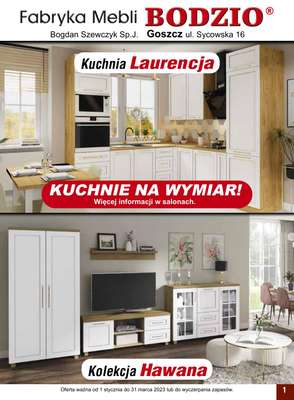 Bodzio - gazetka promocyjna Gazetka od niedzieli 01.01 do piątku 31.03