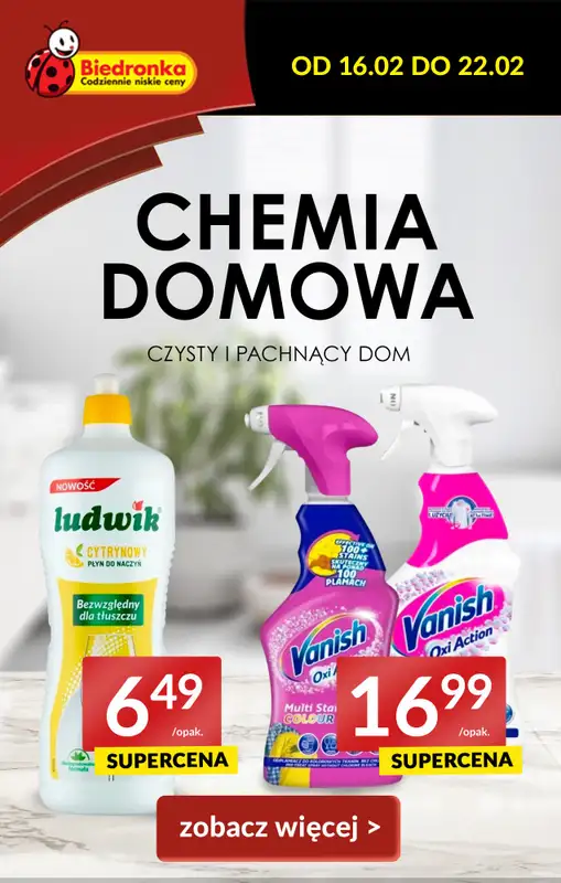 Drogerie z Blixem - gazetka promocyjna Biedronka I Chemia domowa od 6,49 zł od czwartku 16.02 do środy 22.02