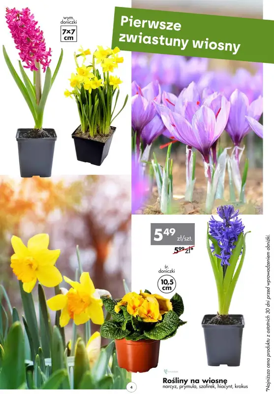 Mrówka Lubliniec - gazetka promocyjna Gazetka od piątku 03.03 do soboty 18.03 - strona 4