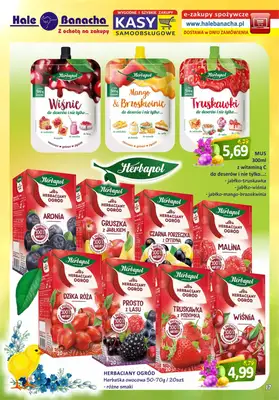 Hale Banacha - gazetka promocyjna Hale Banacha_Warszawa od czwartku 09.03 do soboty 08.04 - strona 17