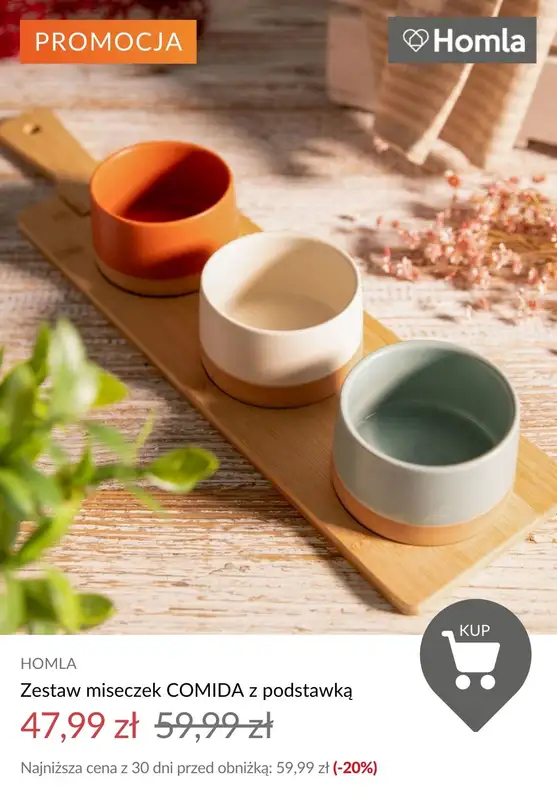 2024 EURO - gazetka promocyjna Homla | Akcesoria dla KIBICA - już od 7,99 od środy 19.06 do poniedziałku 24.06 - strona 12