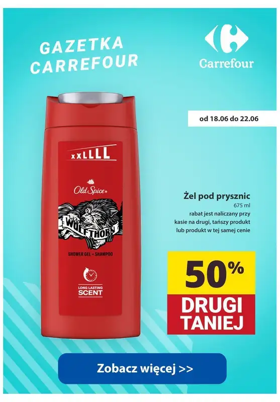DZIEŃ OJCA - prezenty - gazetka promocyjna Dzień Taty do -50% | Lidl, Biedronka, Dino, Carrefour od środy 19.06 do soboty 22.06 - strona 13