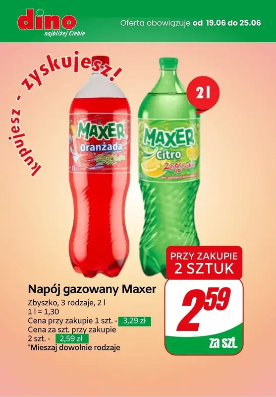 2024 EURO - gazetka promocyjna Zestaw KIBICA | Biedronka, Dino, Carrefour, Twój Market od czwartku 20.06 do wtorku 25.06 - strona 9