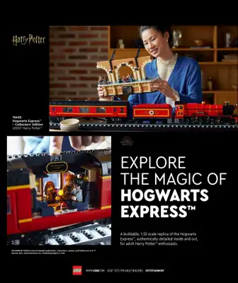 LEGO - gazetka promocyjna Katalog Adults Welcome! od wtorku 24.09 do wtorku 31.12 - strona 46