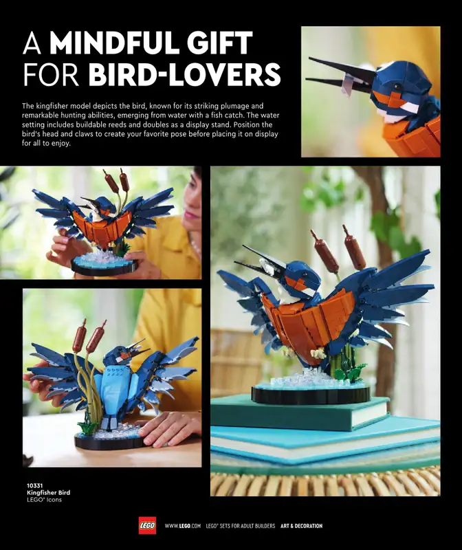 LEGO - gazetka promocyjna Katalog Adults Welcome! od wtorku 24.09 do wtorku 31.12 - strona 119