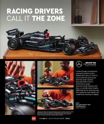 LEGO - gazetka promocyjna Katalog Adults Welcome! od wtorku 24.09 do wtorku 31.12 - strona 6