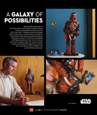 LEGO - gazetka promocyjna Katalog Adults Welcome! od wtorku 24.09 do wtorku 31.12 - strona 26