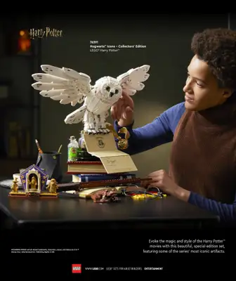 LEGO - gazetka promocyjna Katalog Adults Welcome! od wtorku 24.09 do wtorku 31.12 - strona 49