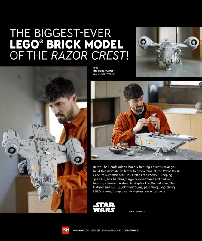 LEGO - gazetka promocyjna Katalog Adults Welcome! od wtorku 24.09 do wtorku 31.12 - strona 29