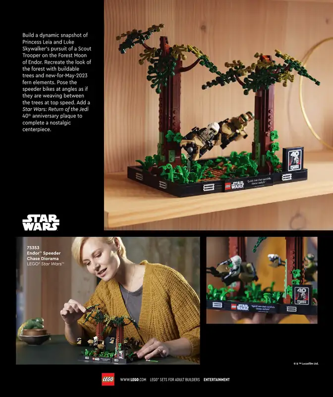 LEGO - gazetka promocyjna Katalog Adults Welcome! od wtorku 24.09 do wtorku 31.12 - strona 31