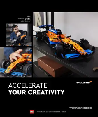 LEGO - gazetka promocyjna Katalog Adults Welcome! od wtorku 24.09 do wtorku 31.12 - strona 17