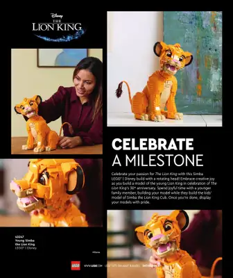 LEGO - gazetka promocyjna Katalog Adults Welcome! od wtorku 24.09 do wtorku 31.12 - strona 64