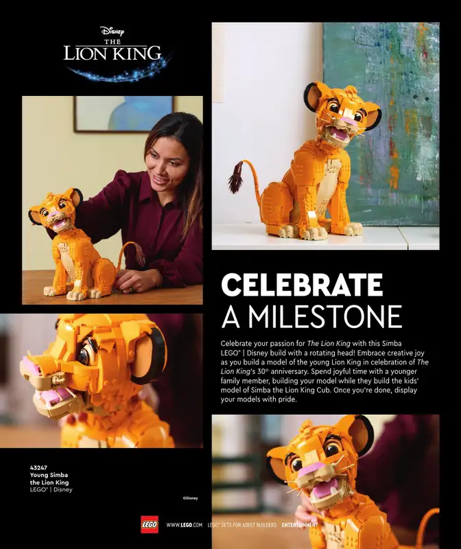 LEGO - gazetka promocyjna Katalog Adults Welcome! od wtorku 24.09 do wtorku 31.12 - strona 64