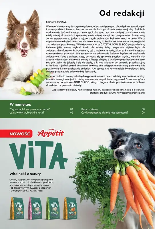 Aquael zoo - gazetka promocyjna Gazetka od poniedziałku 23.09 do poniedziałku 30.09 - strona 19