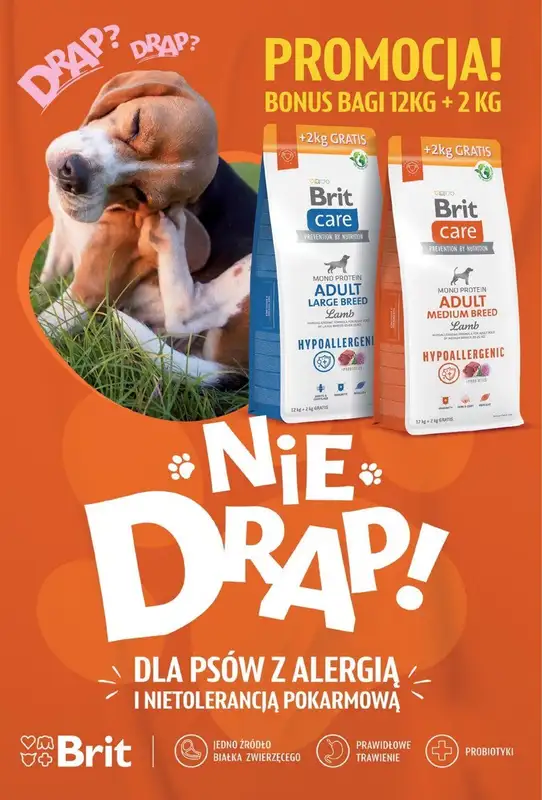 Aquael zoo - gazetka promocyjna Gazetka od poniedziałku 23.09 do poniedziałku 30.09 - strona 32