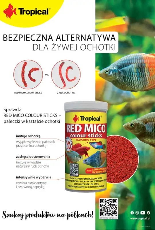 Aquael zoo - gazetka promocyjna Gazetka od czwartku 03.10 do czwartku 31.10 - strona 14