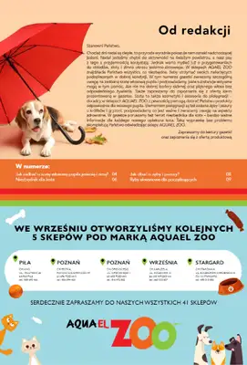 Aquael zoo - gazetka promocyjna Gazetka od czwartku 03.10 do czwartku 31.10 - strona 19
