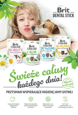 Aquael zoo - gazetka promocyjna Gazetka od czwartku 03.10 do czwartku 31.10 - strona 13