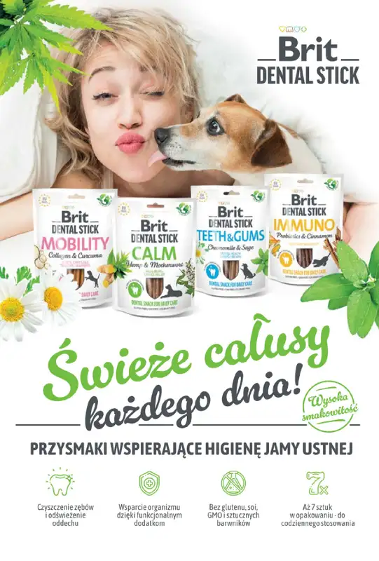 Aquael zoo - gazetka promocyjna Gazetka od czwartku 03.10 do czwartku 31.10 - strona 13